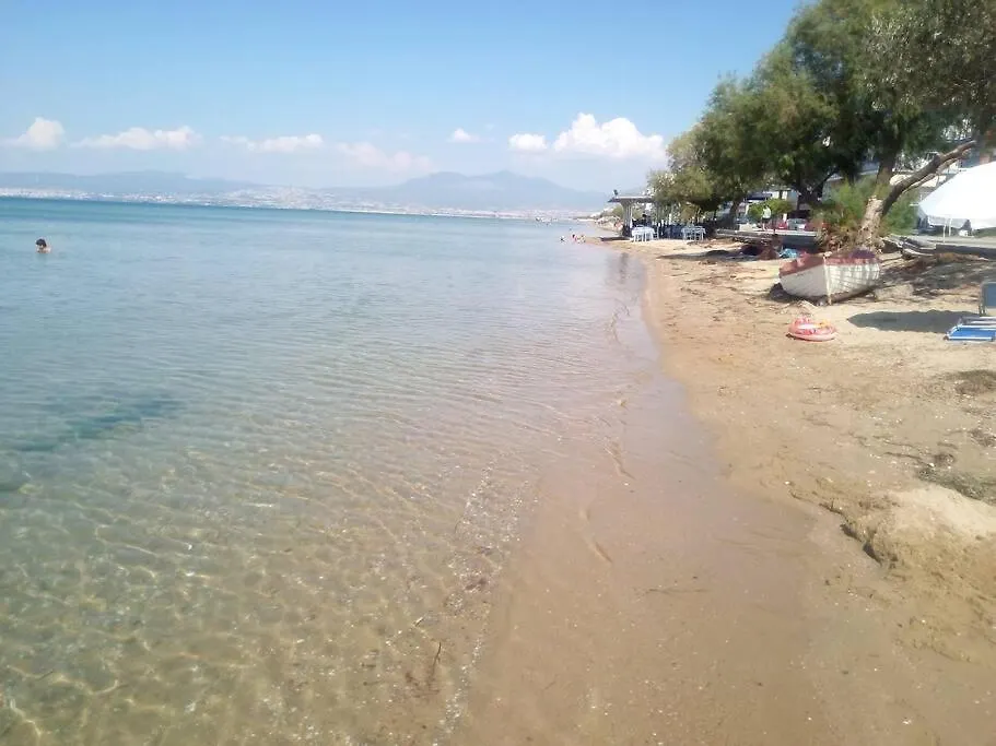 Apartment 211 Νέοι Επιβάτες